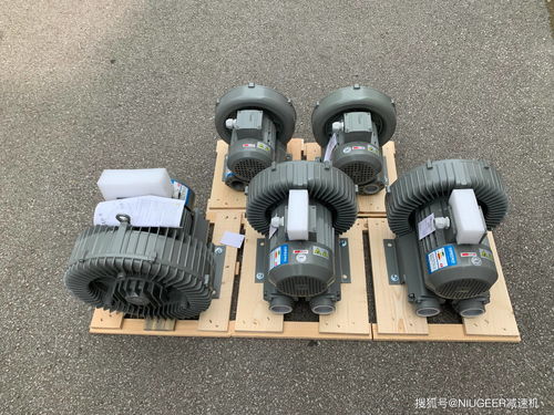 达纲高压风机dg 800 16型号解析